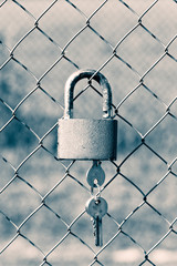 Padlock lock on steel mesh gates