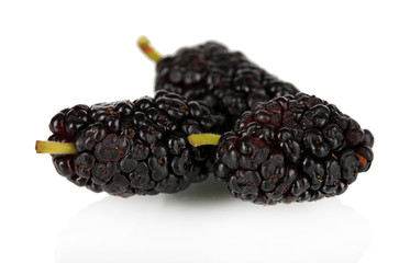 Ripe mulberries isolated on white