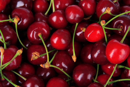 Cherry berries close-up