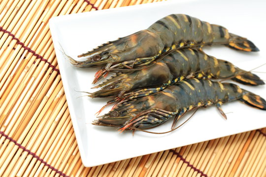 海老