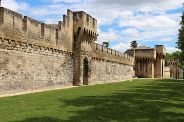 Fototapeta premium Stadtmauer von Avignon