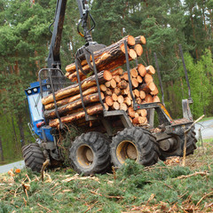 The harvester working in a forest.