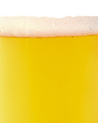 light beer  background.