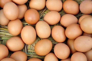 Eier im Korb