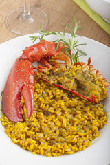 Clawed Lobster with yellow rice