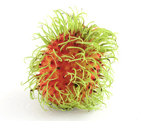 Rambutan is a fruit with sweet red shell