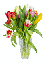 Bouquet of tulips in a crystal vase