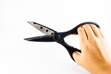 cutting scissor - black scissor
