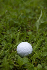 Golf ball in country