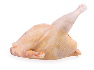 chicken carcass