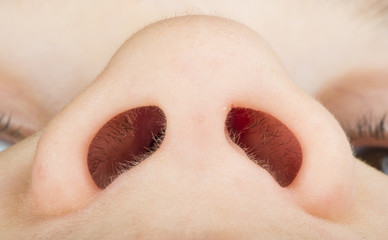 Human nose