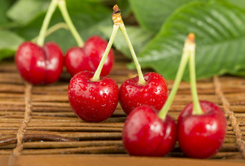 Cherries and branch with leaves