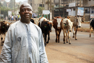 African cattle farmer - 52922939