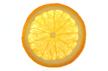 plaster pomarańczy na białym tle © Darios