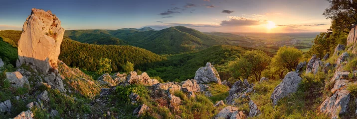 Photo sur Plexiglas Panoramique Panorama de la nature verdoyante avec soleil