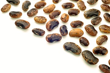 Haricot bean