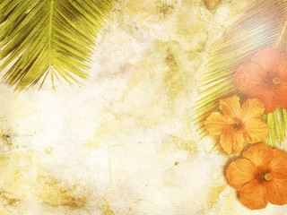 tropical background © matttilda
