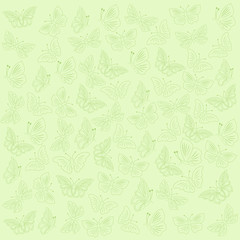 Butterflies green background