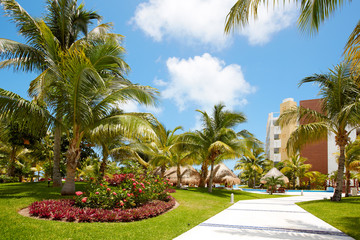 Fototapeta premium Beautiful tropical garden.