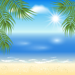 Fototapeta na wymiar Sandy beach with palm trees