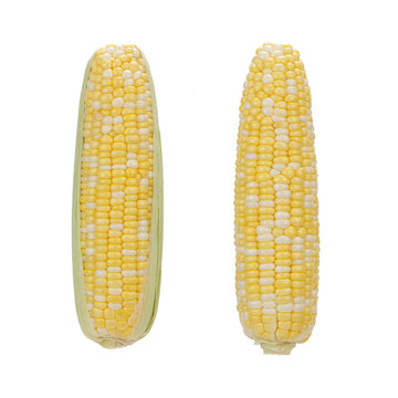 Corns isolated on the white (Clipping paths included)