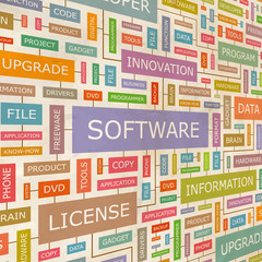 SOFTWARE. Word cloud concept illustration.  
