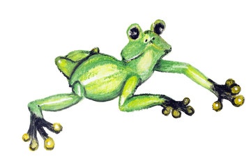 The green amphibian