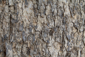 wood peel pattern
