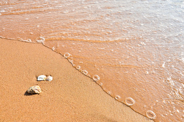 sea