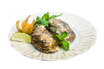 Fresh oyster