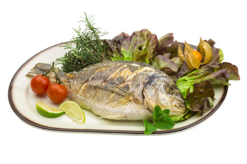 Dorado grilled