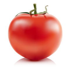 tomato