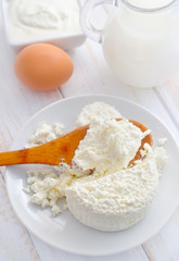 Milk products, fresh cottage in the white plate