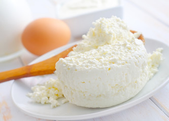 Milk products, fresh cottage in the white plate