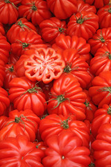 tomates cœur de bœuf