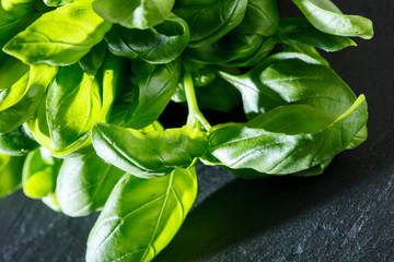 fresh basil