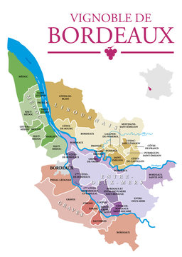 Fototapeta Vignoble de Bordeaux