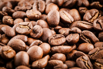 Studio Shot of Coffee Beans