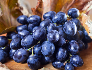 ripe blue grape