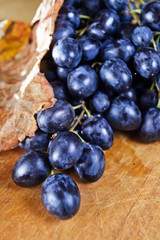 ripe blue grape