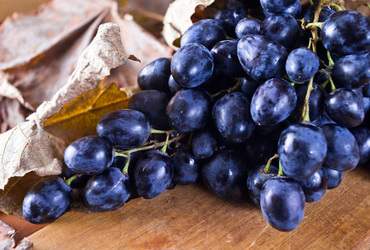 ripe blue grape