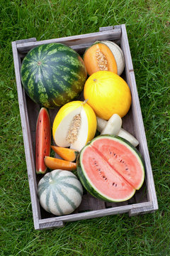 Frische Melonen