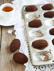 Chocolate madeleines