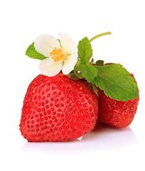 Ripe sweet strawberries and flower, isolated on white