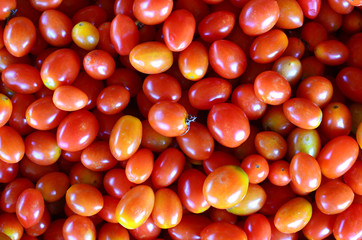 Heap of fresh ripe cherry plum tomatoes on white