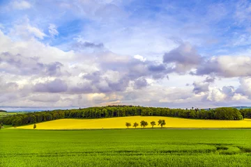 Fotobehang beautiful landscape with rape field and dramatic cloudscape © travelview