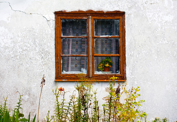 Fototapeta na wymiar window old garden view wall wild