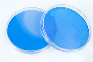 Two Blue Petri Dishes