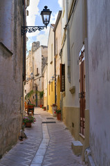 Obraz premium Alleyway. Presicce. Puglia. Italy.