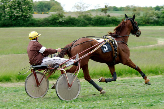 Course Hippique #63